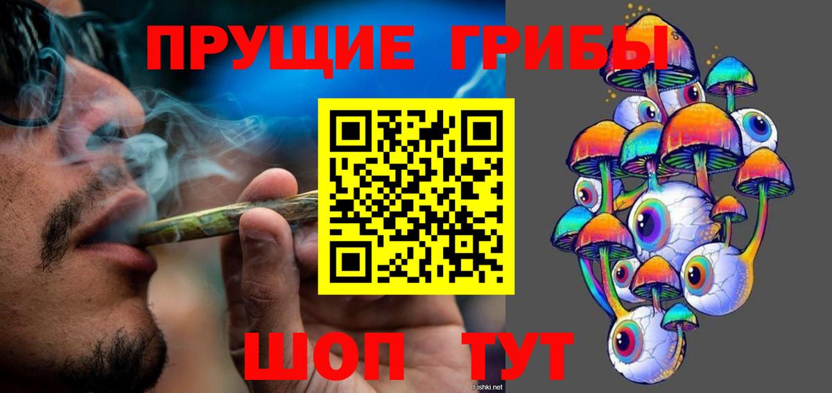 Псилоцибиновые грибы Cubensis Ярцево